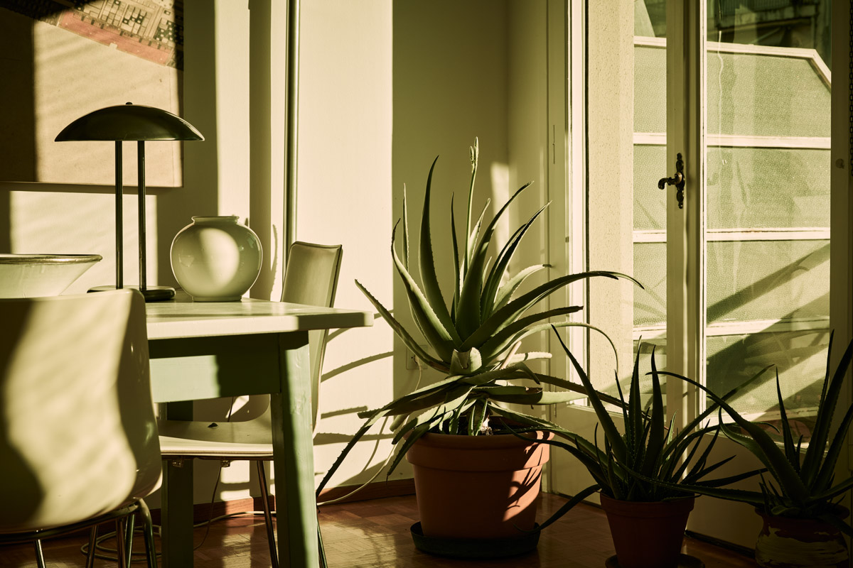 table &Aloe in livingroom