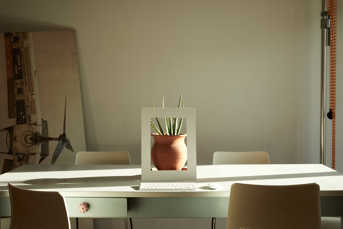 table with plant in pot