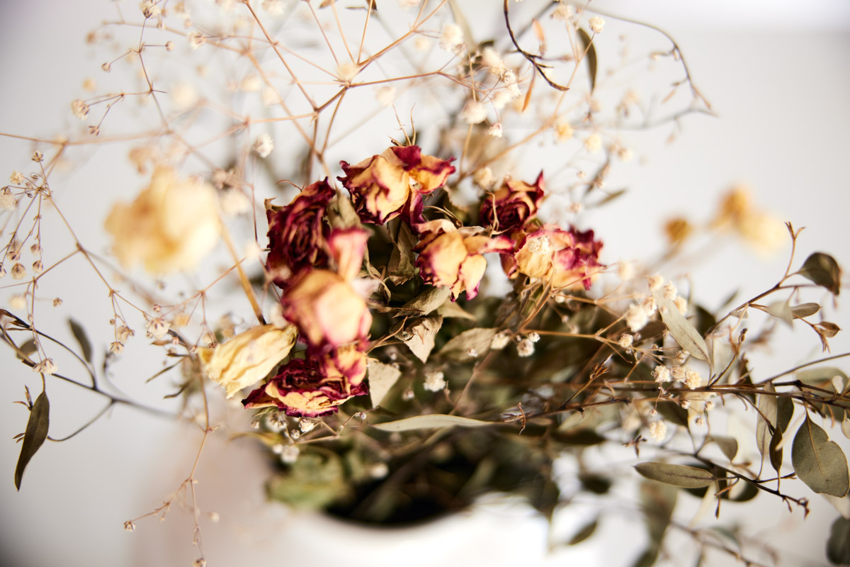 dry flowers