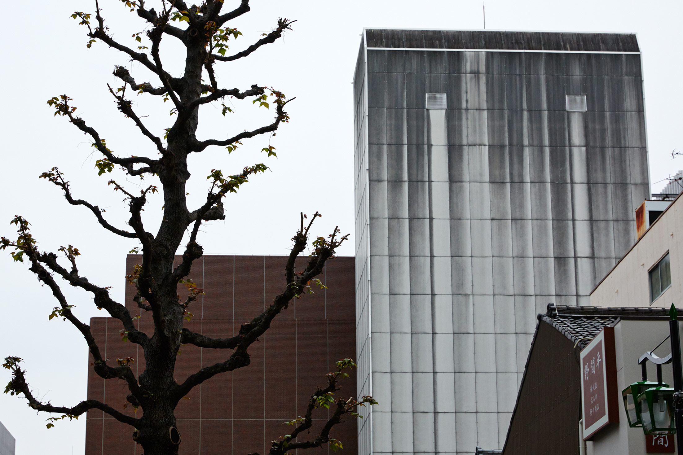 building with tree Japan