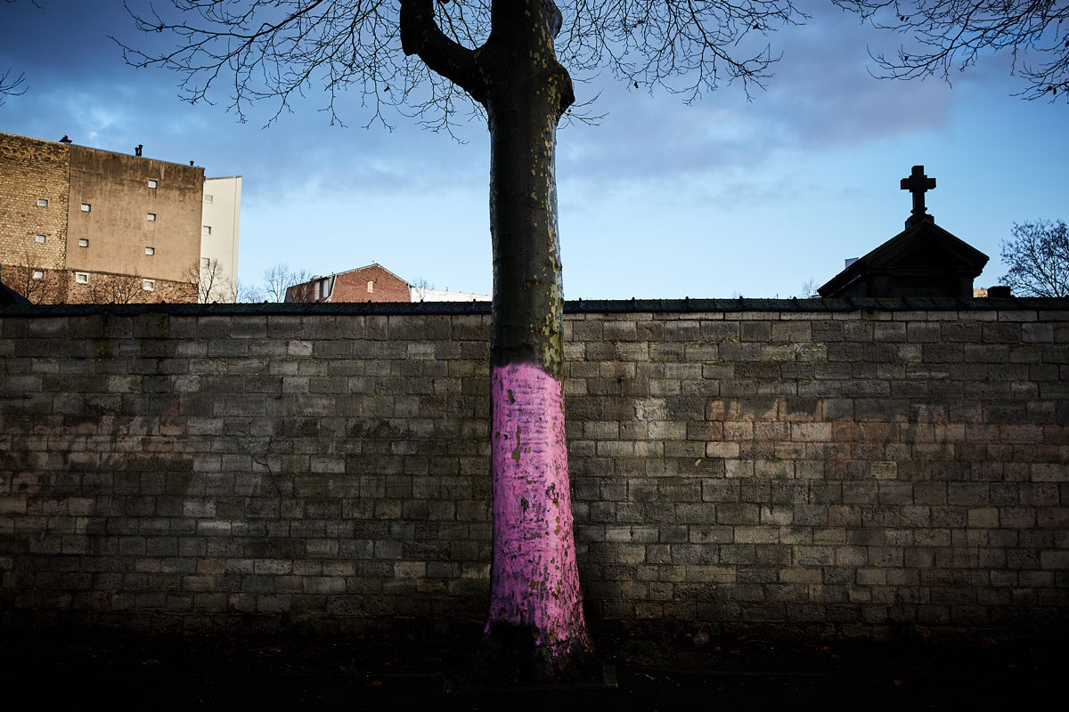 walls of Cemetery Montparnasse Paris with roze tree