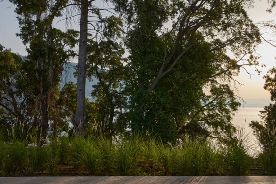 Ikos Odisia, Spa, view , trees, morning light